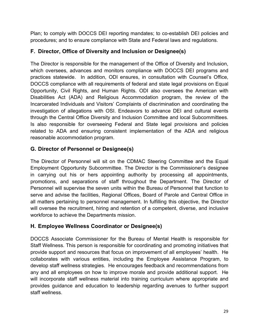 Text slide 29 from Diversity Equity And Inclusion Five Year Strategic Plan 2021 2025