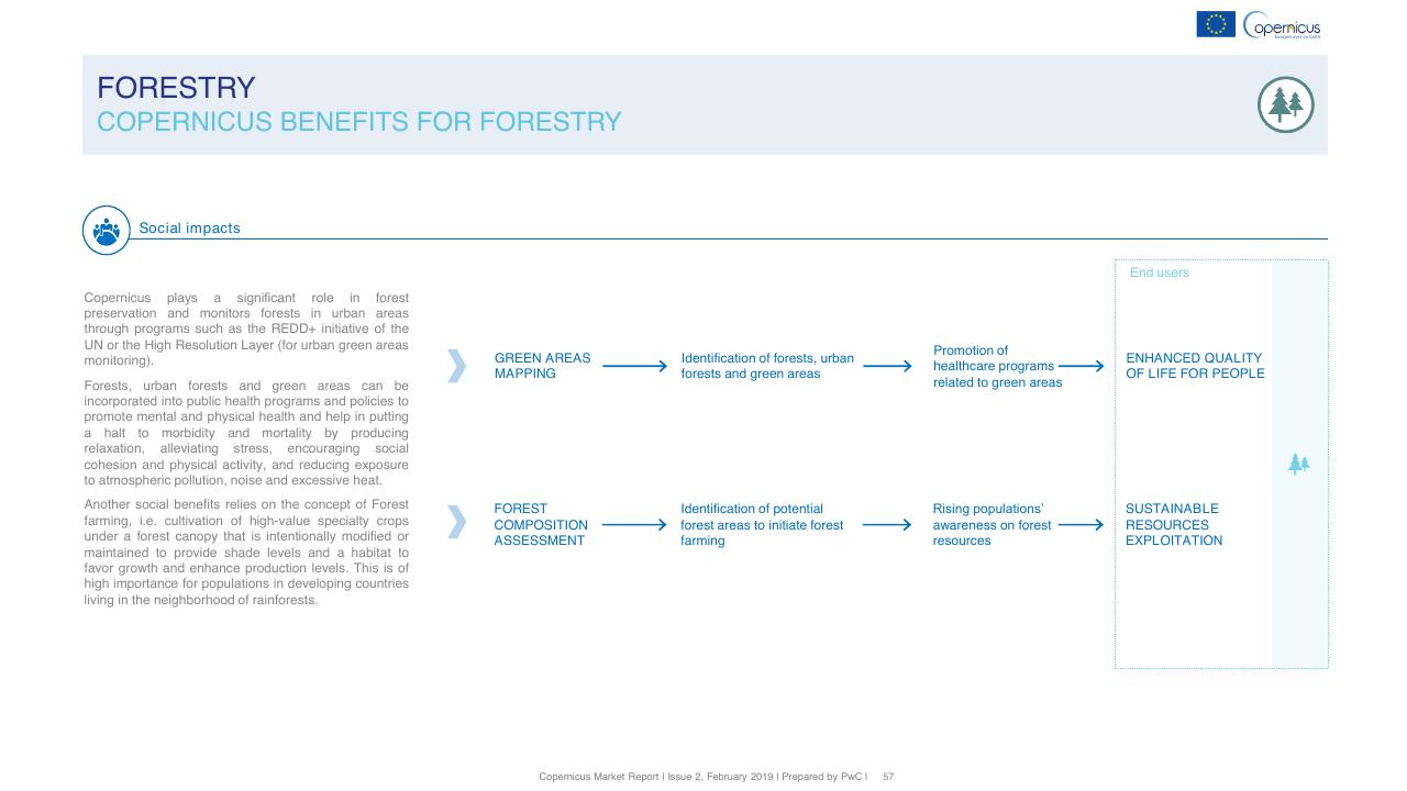 Process slide 57 from Copernicus Market Report February 2019 PwC