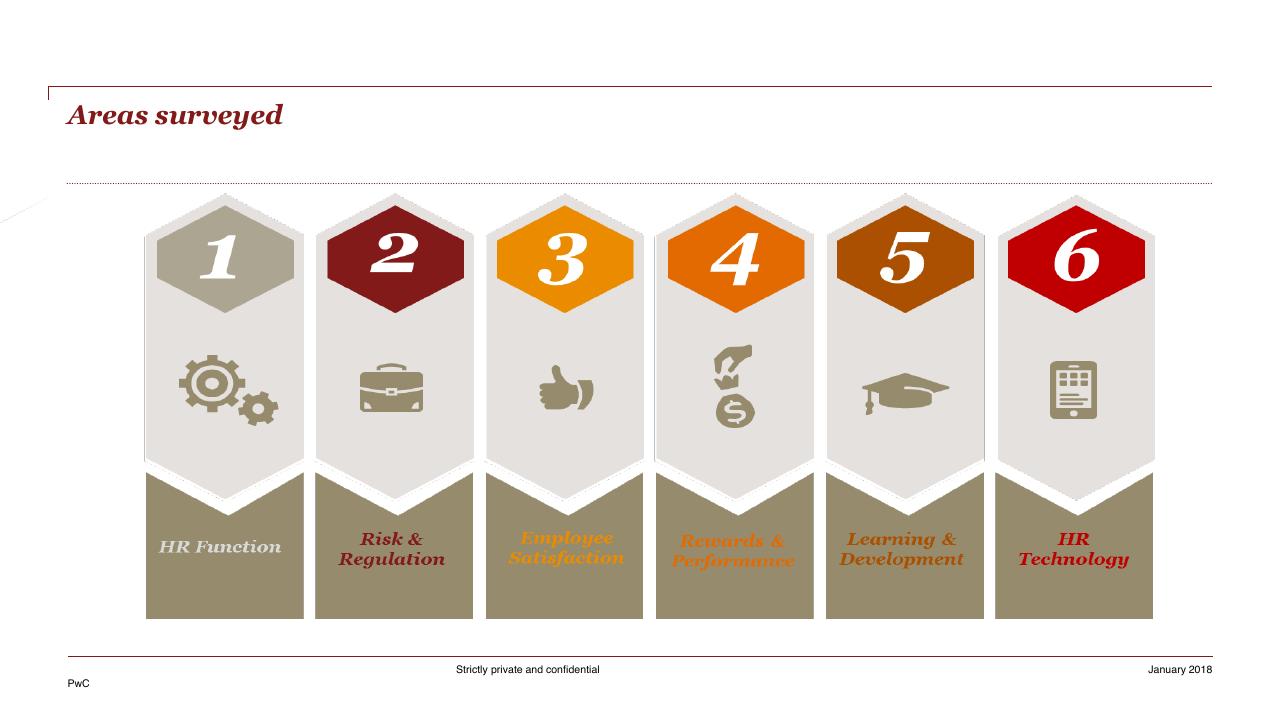 Process slide 8 from HR Pulse Survey Presentation Of Results PwC