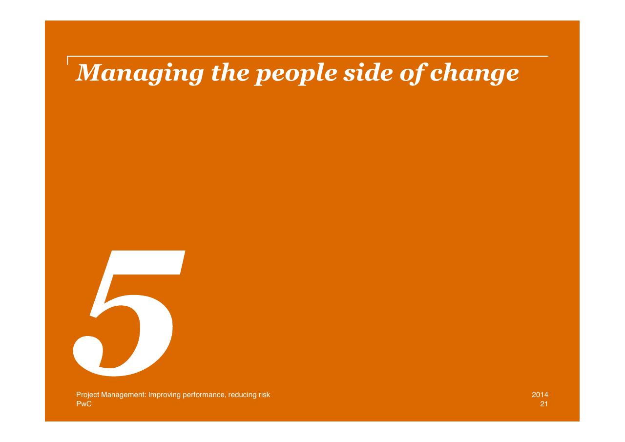 Section Divider slide 21 from Project Management Improving Performance Reducing Risk