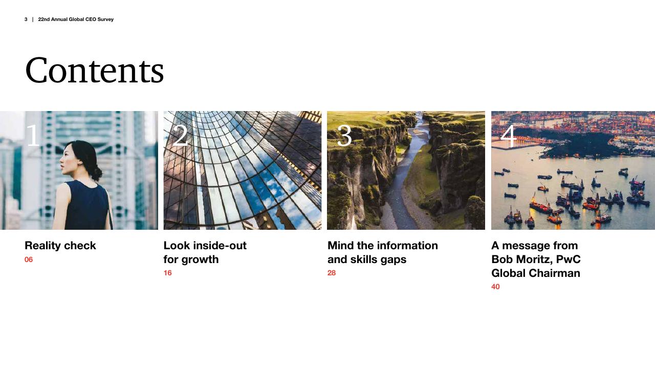 Section Divider slide 3 from Pwc_s 22nd Annual Global CEO Survey PwC