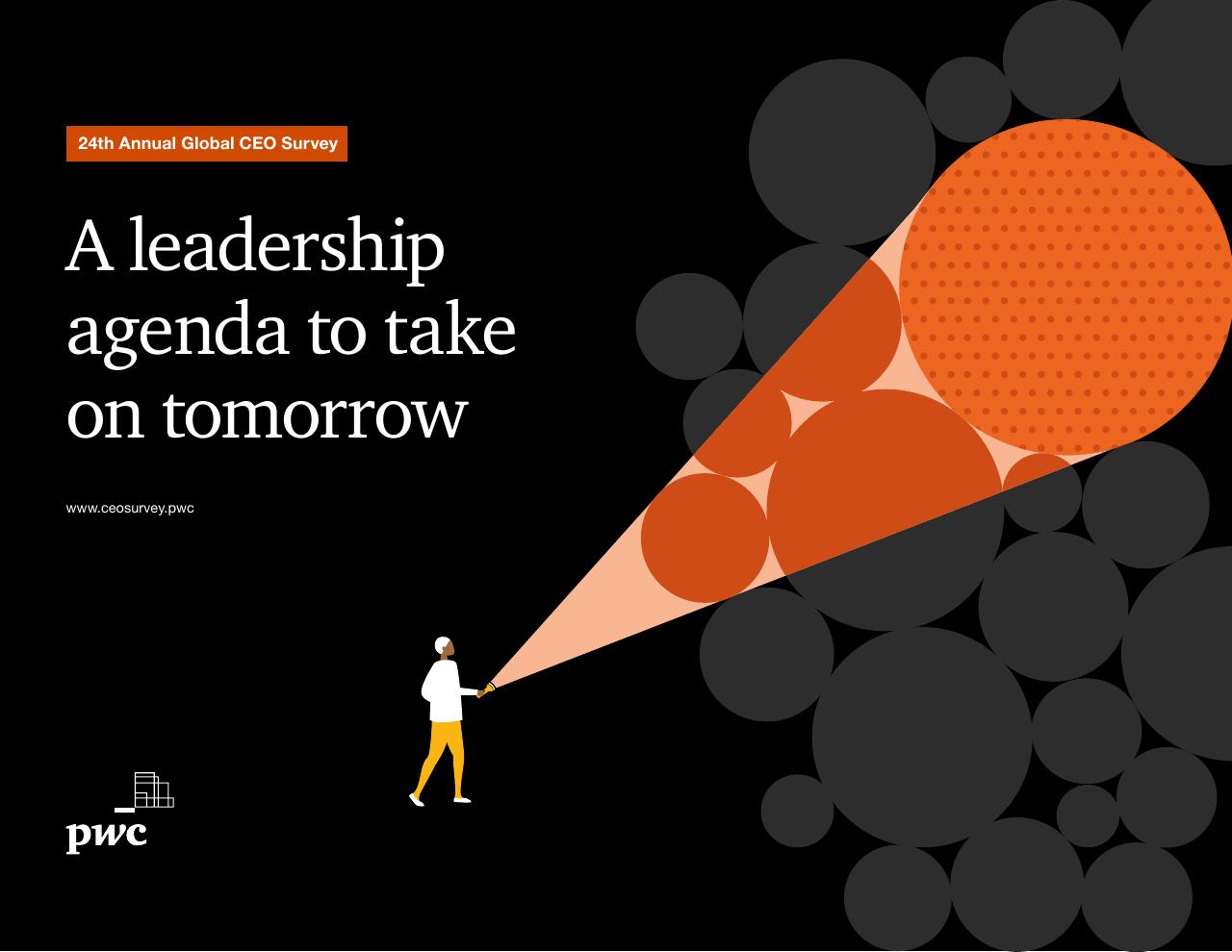 Pwc_s 24th Annual Global CEO Survey PwC consulting deck cover