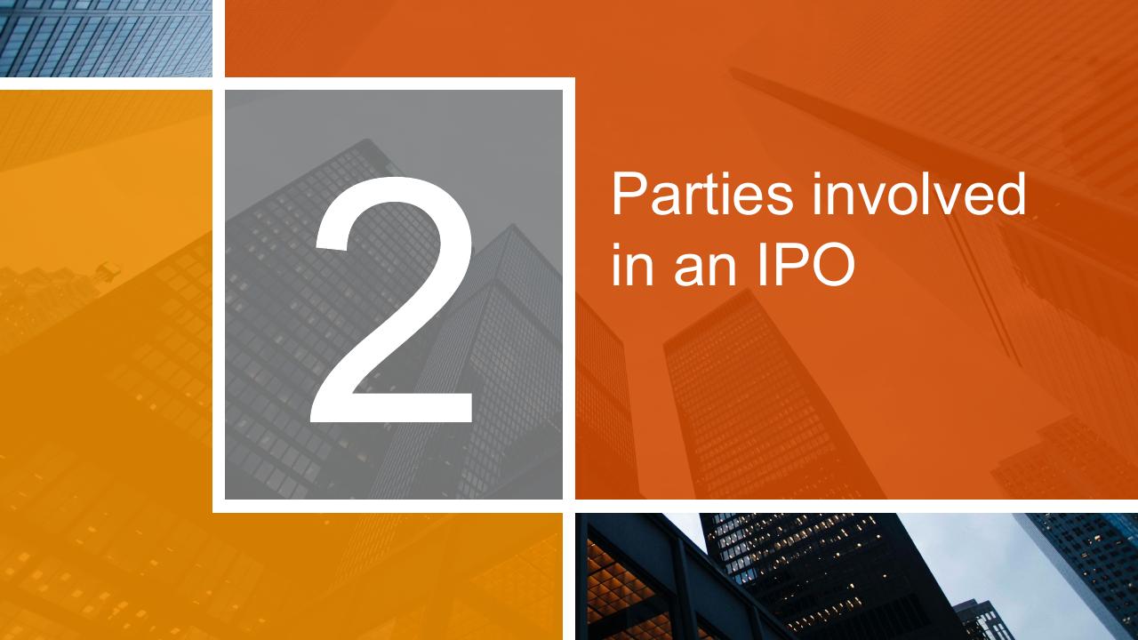 Section Divider slide 13 from Ready To Go Public_ Initial Public Offering Ipo PwC