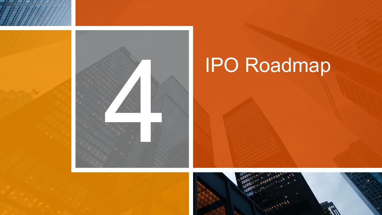 Section Divider slide 32 from Ready To Go Public_ Initial Public Offering Ipo PwC