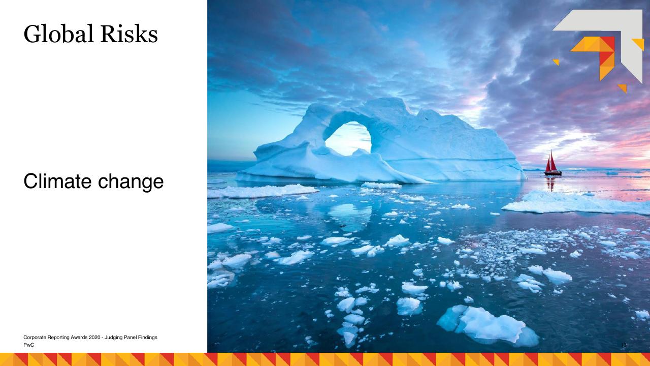 Section Divider slide 13 from Risk Management As A Catalyst For Growth PwC