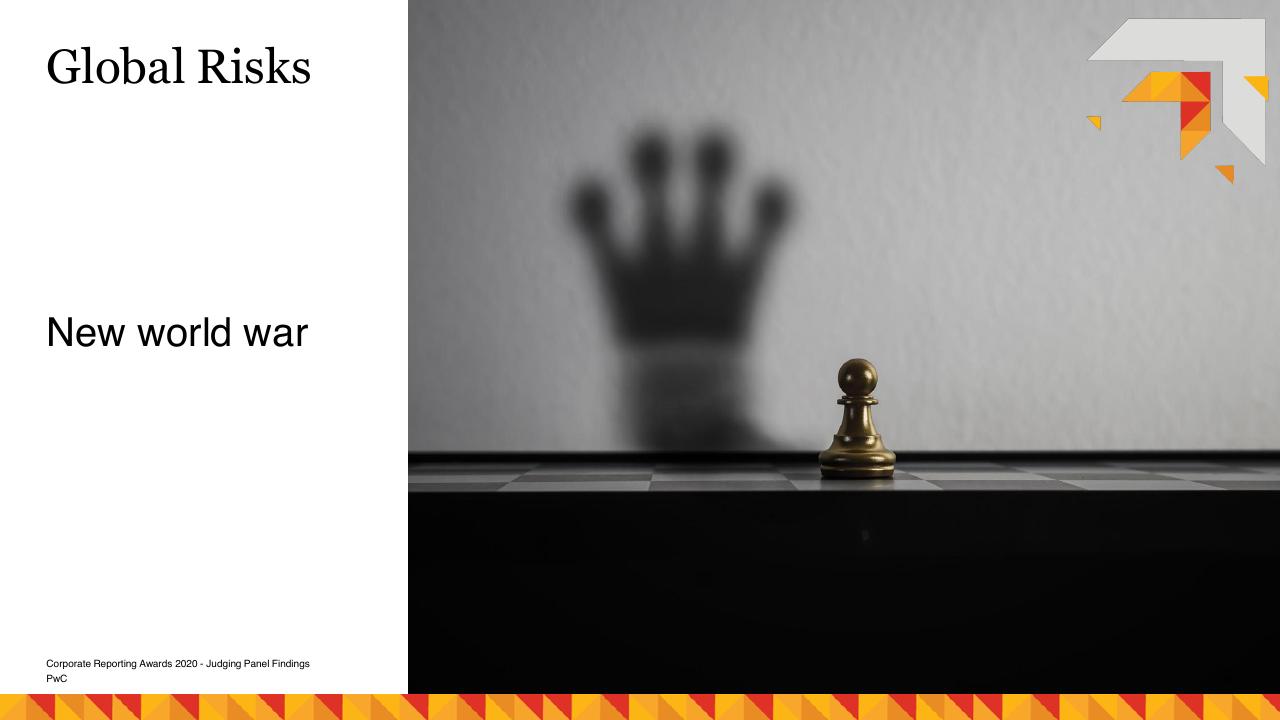 Section Divider slide 16 from Risk Management As A Catalyst For Growth PwC